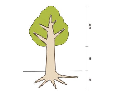 樹根位置|樹木の部位の名称